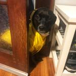 2019-07-23 06.57.09-1