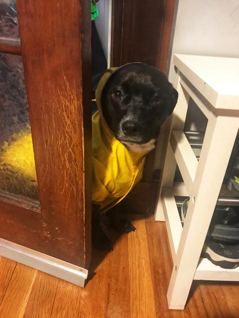 2019-07-23 06.57.09-1