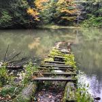 2019-10-06 13.56.53-1