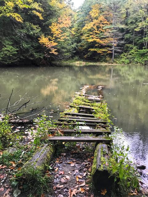 2019-10-06 13.56.53-1