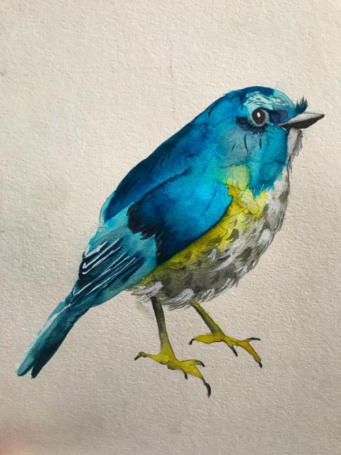 2019-12-13 13.04.27-1