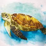 2020-01-17 11.56.47-1