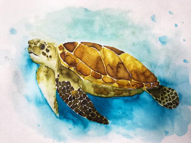 2020-01-17 11.56.47-1