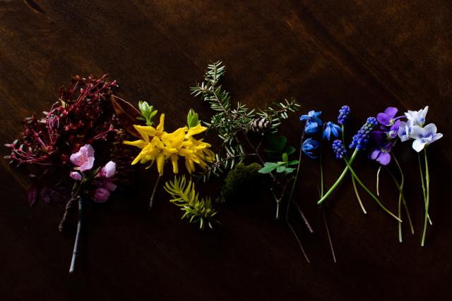 DSC_0001Galusirainbowedit