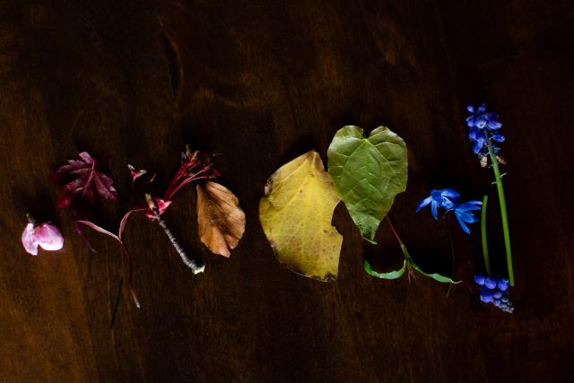 DSC_0008RoryRainbowedit