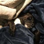 2020-03-29 19.47.36-1