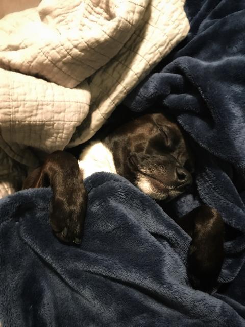 2020-03-29 19.47.36-1