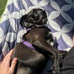 2020-06-16 13.02.13 HDR