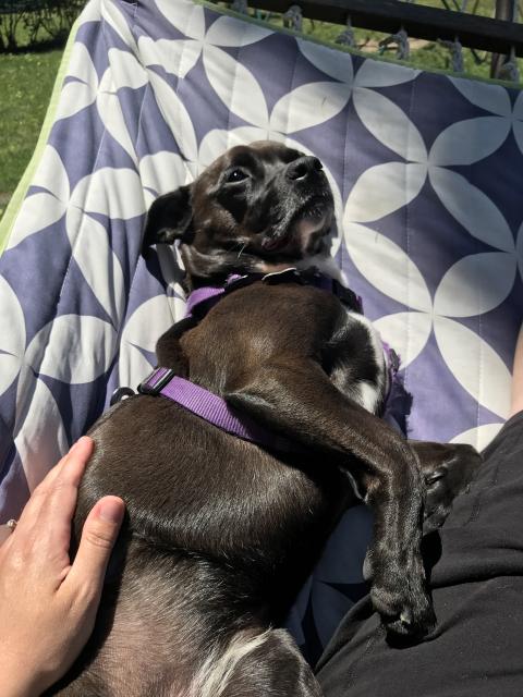 2020-06-16 13.02.13 HDR