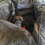 2020-07-29 11.29.50-1