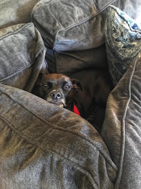 2020-07-29 11.29.50-1