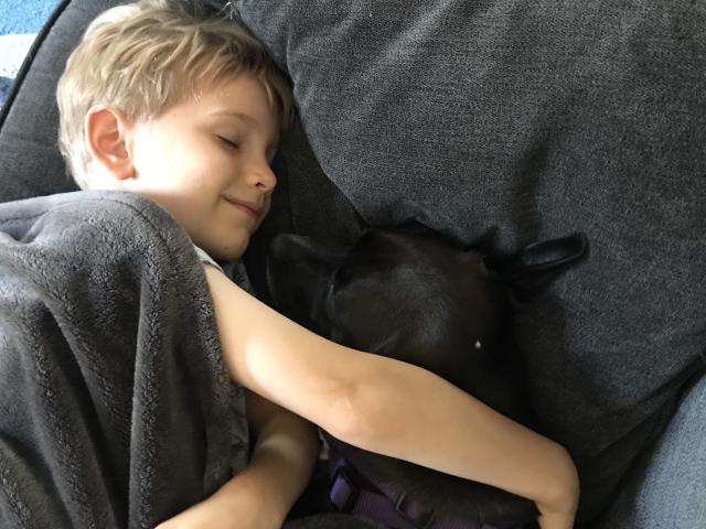 2020-07-30 11.33.50-1