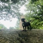 2020-08-02 10.06.44-1