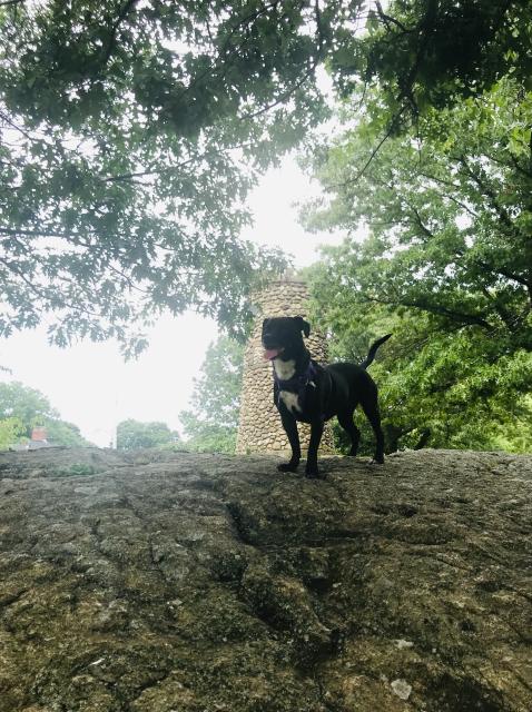 2020-08-02 10.06.44-1