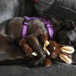 2020-09-10 15.41.09-1