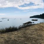 2020-08-23 10.45.40-1