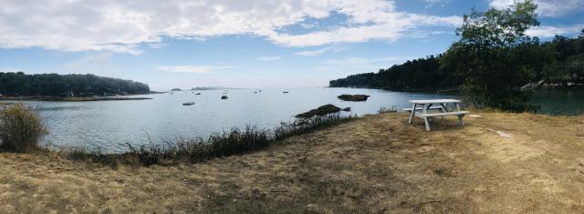 2020-08-23 10.45.40-1