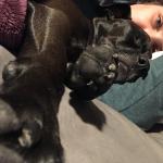 2020-11-16 20.32.41-1