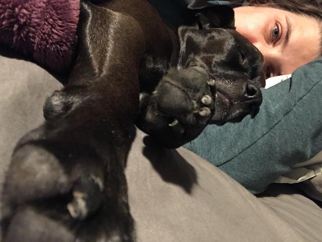 2020-11-16 20.32.41-1