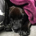 2020-12-05 13.15.48-1