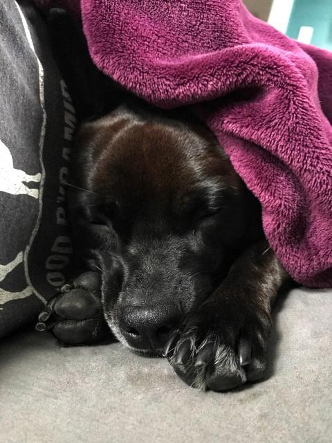 2020-12-05 13.15.48-1