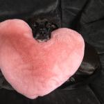 2021-01-13 15.02.39-1