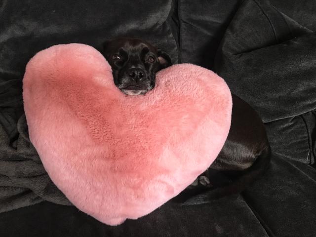 2021-01-13 15.02.39-1