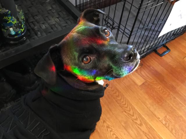 2021-02-08 15.00.05-1