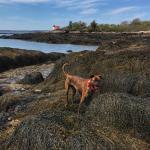 2021-05-16 23.32.29-2