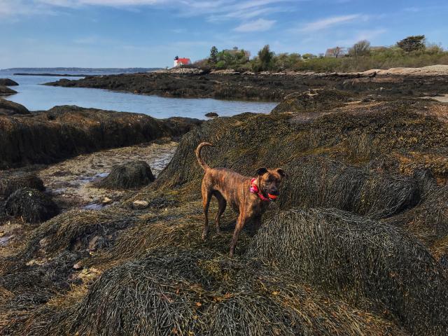 2021-05-16 23.32.29-2