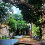 2022-04-16 16.55.33-1