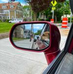 2022-05-17 14.04.09-1