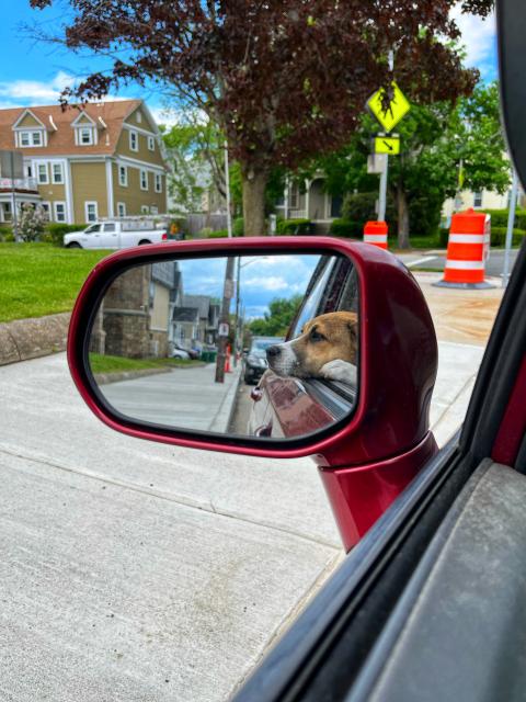 2022-05-17 14.04.09-1