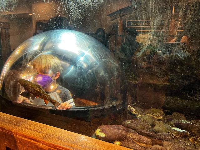 2022-07-17 10.32.20-1