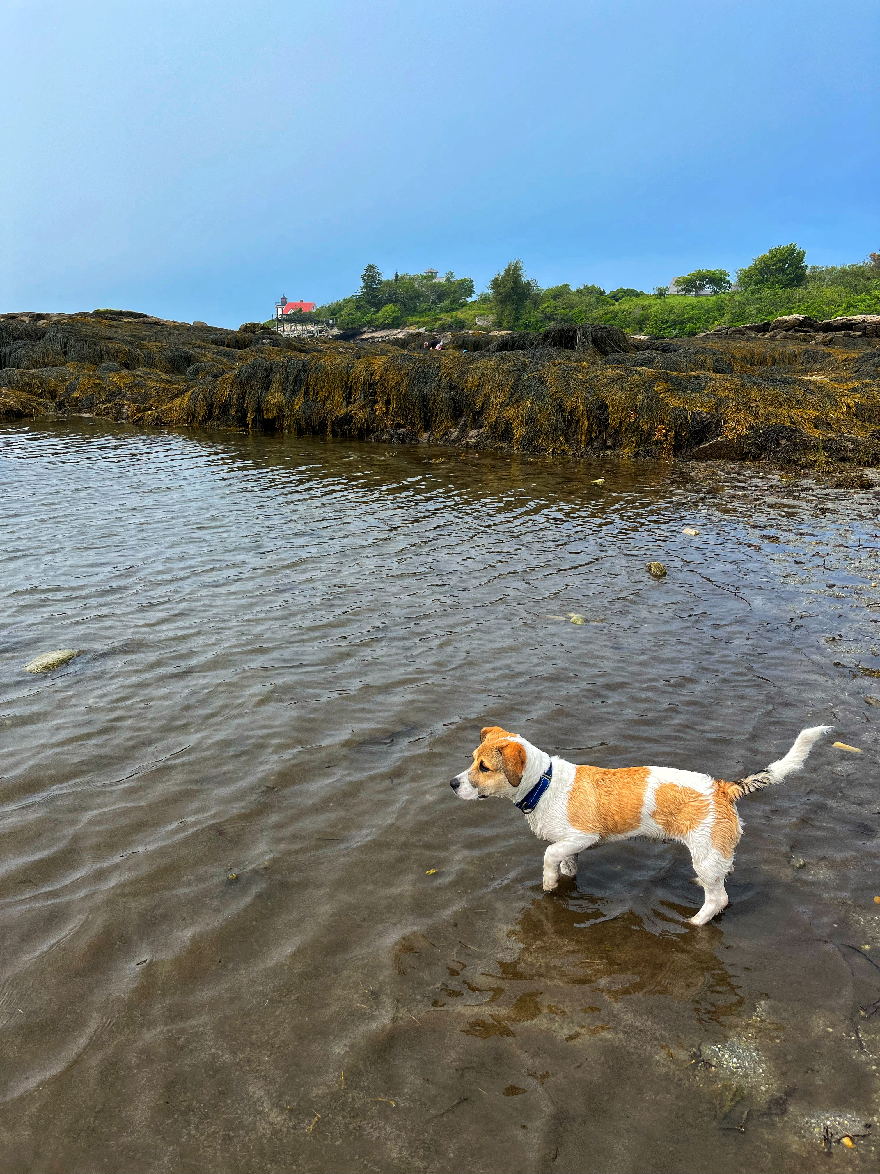 2022-07-21 11.12.49-1