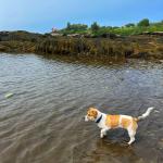 2022-07-21 11.12.49-1