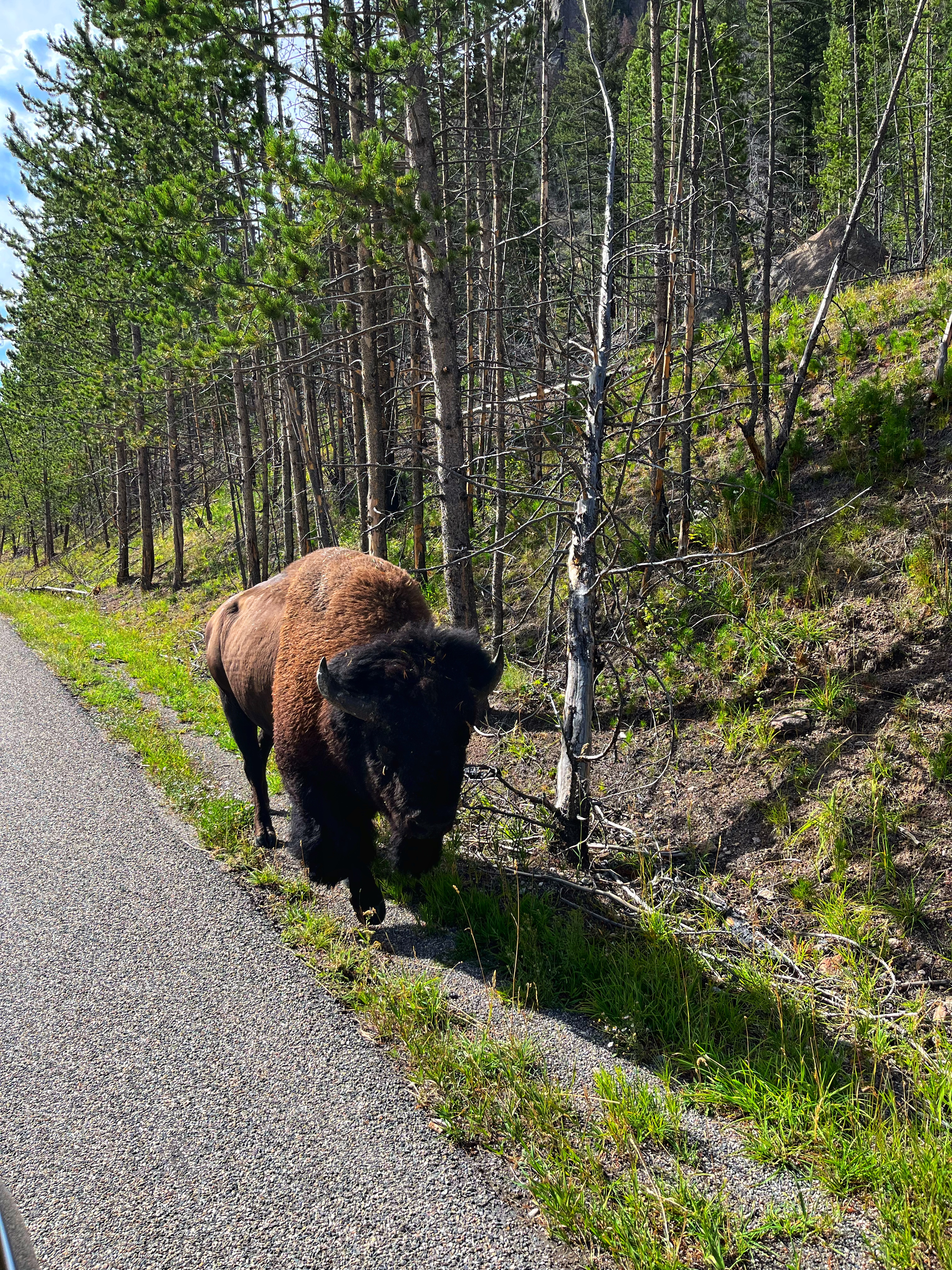 2022-08-25 16.23.24-1