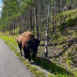 2022-08-25 16.23.24-1