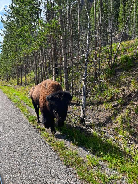 2022-08-25 16.23.24-1