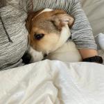 2022-12-09 14.55.51-1