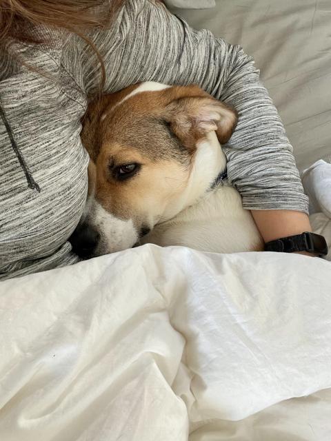 2022-12-09 14.55.51-1