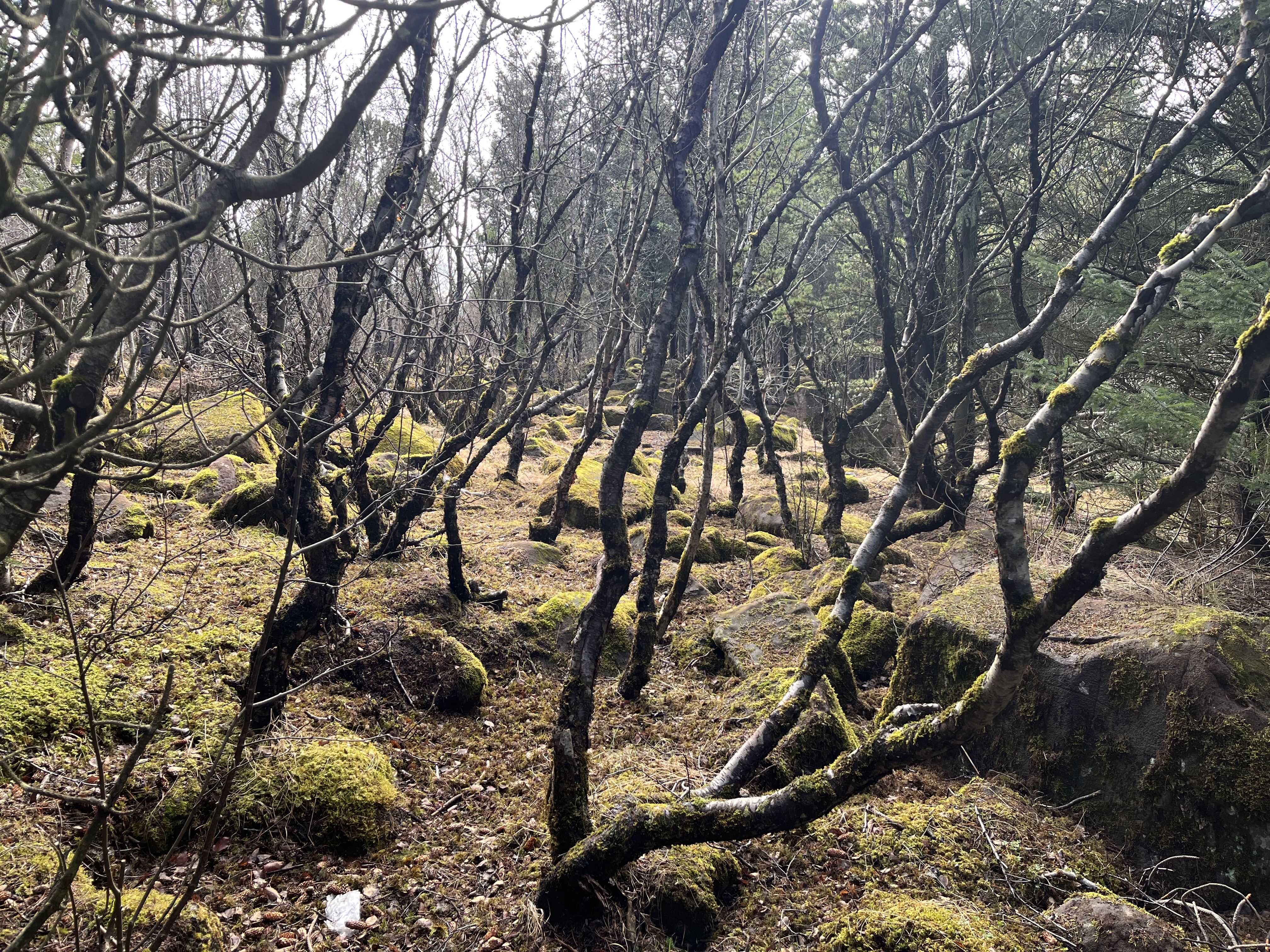 2023-04-23 11.24.19-1