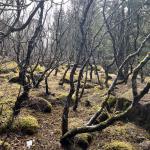 2023-04-23 11.24.19-1