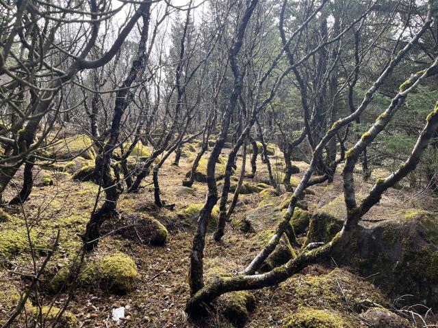 2023-04-23 11.24.19-1