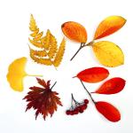 2023-10-28 11.43.46-1