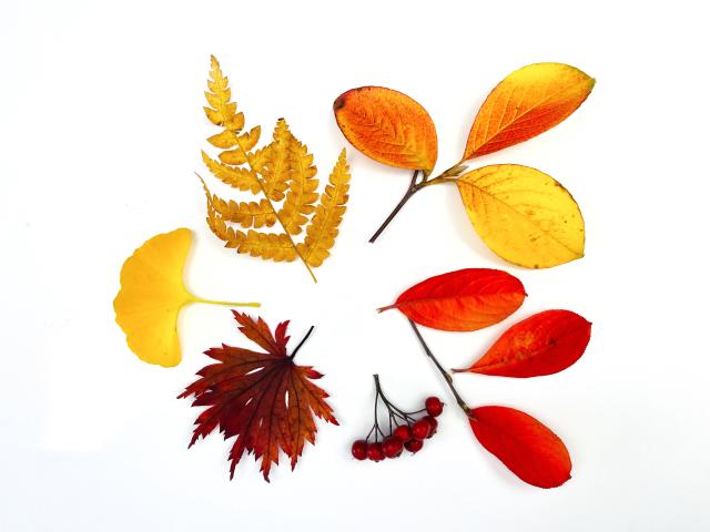 2023-10-28 11.43.46-1