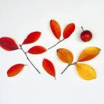 2023-10-28 11.55.21-1