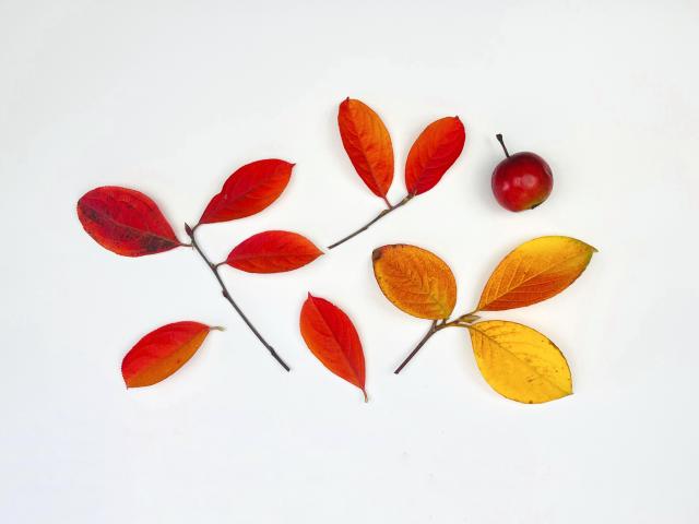 2023-10-28 11.55.21-1