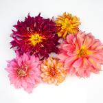 2023-10-28 12.04.50-1