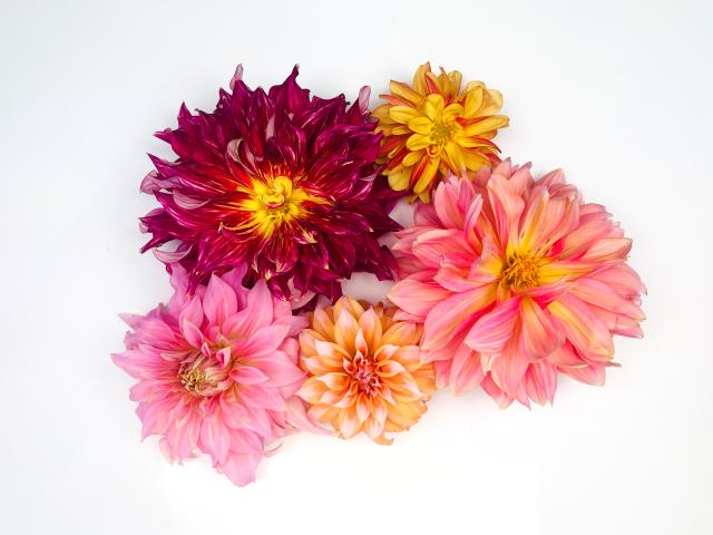 2023-10-28 12.04.50-1